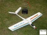 ALIANTE3 CANALI SOARING EAGLE TW-739   RTF