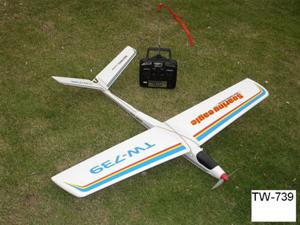 ALIANTE3 CANALI SOARING EAGLE TW-739   RTF